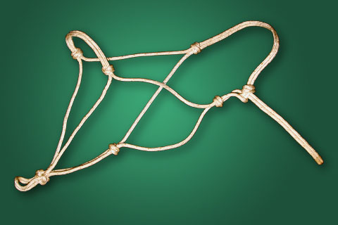 J.   Rope Halter