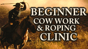 Cow Clinic