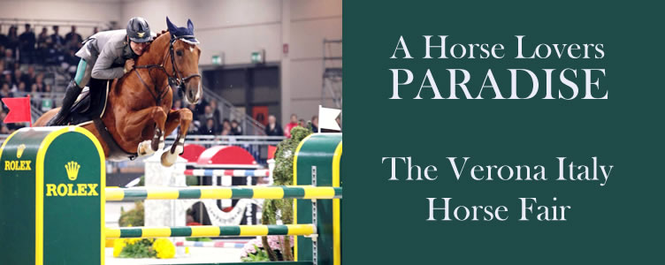 A Horse Lovers Paradise - The Verona Italy Horse Fair