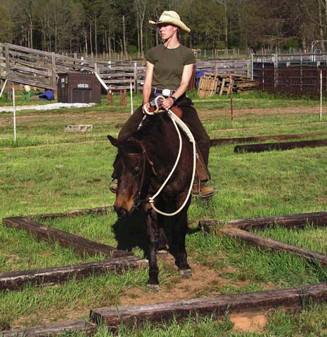 Confidence course maze improves horse turns, hindquarter control and precise movement and control