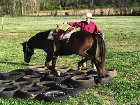 Build horse's courage using tires as obstacle on confidence course. Develops horse's trust in his rider leader.