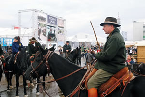 Verona Horse Fair