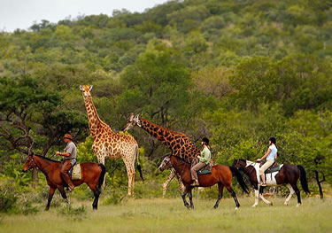 Africa Horseback Adventure