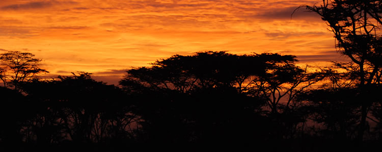 Kenya Horseback Safari