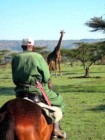 Kenya Horseback Safari