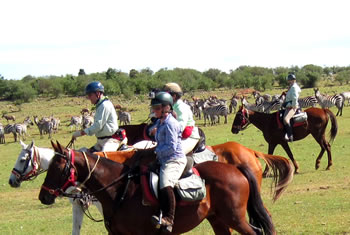 Horseback Riding with Zebras