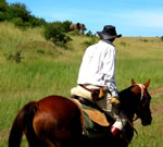 Wyoming Horseback Adventure