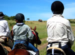 Wyoming Horseback Adventure