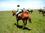 Wyoming Cowboy Adventure