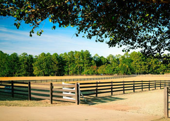 Horse Boarding and Rehab Care