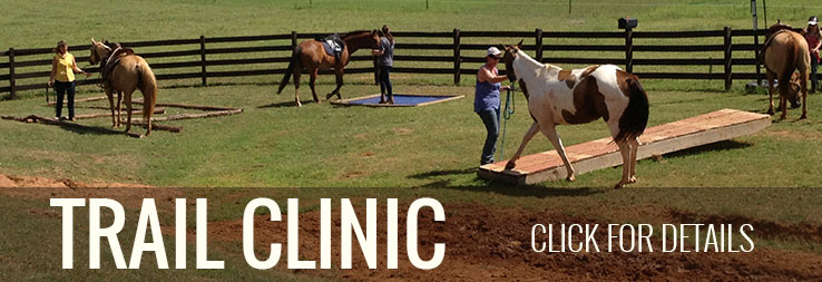 Cow Clinic - Ed Dabney