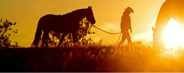 Despooking Equestrian Clinic - Ed Dabney Gentle  Horsemanship