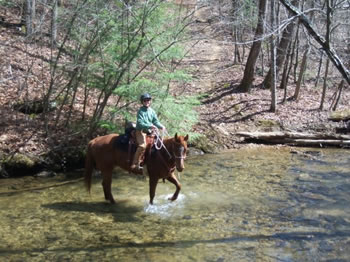 Ed Dabney Trail Riding Clinic