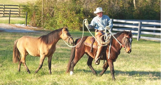 Ed Dabney Horse Training