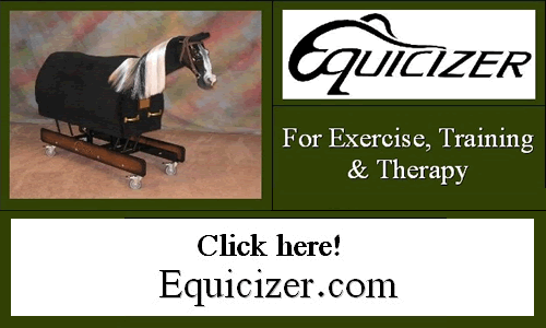 Equicizer - for Exercise, Training and Therapy