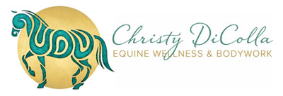 Christy DiColla Equine Wellness and Bodywork