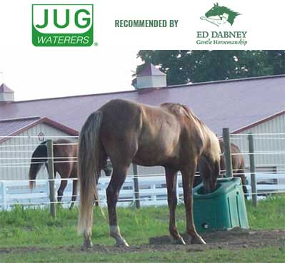 Ed Dabney recommends Jug Waters