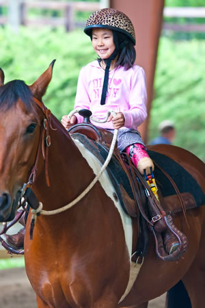 The Verona Italy Horse Fair - A Horse Lovers Paradise