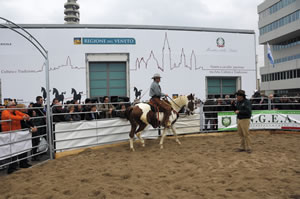 Verona Horse Fair