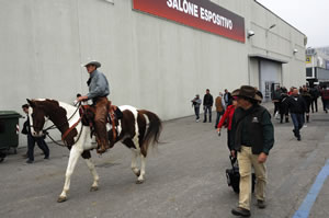 Verona Horse Fair