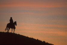 Wyoming Cowboy Adventure