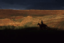 Wyoming Cowboy Adventure