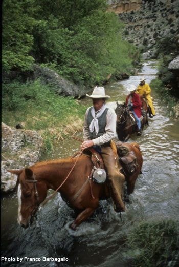 Wyoming Cattle Drive Adventure