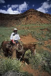 Wyoming Cowboy Ranch Adventure