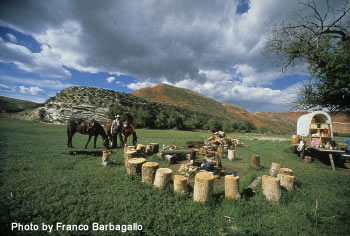 Wyoming Cattle Drive Adventure