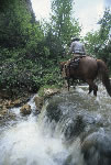 Wyoming Cowboy Adventure